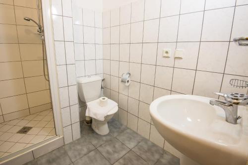 a bathroom with a sink and a toilet at Penzion Fojtstvi in Olomouc