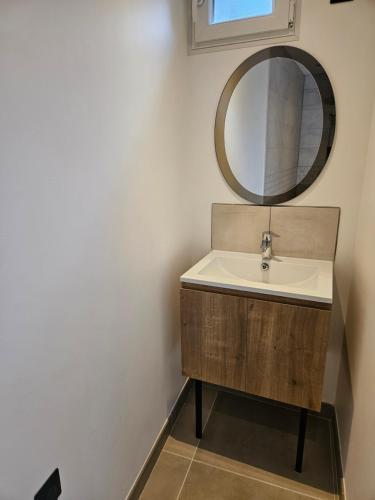 a bathroom with a sink and a mirror at Petite maison design proche centre ville in Cusset