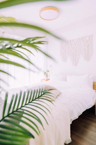 Stylish Nakasu Accommodation in Fukuoka 201