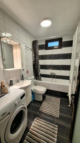 a bathroom with a toilet sink and a washing machine at Casa Velvet in Potamiá