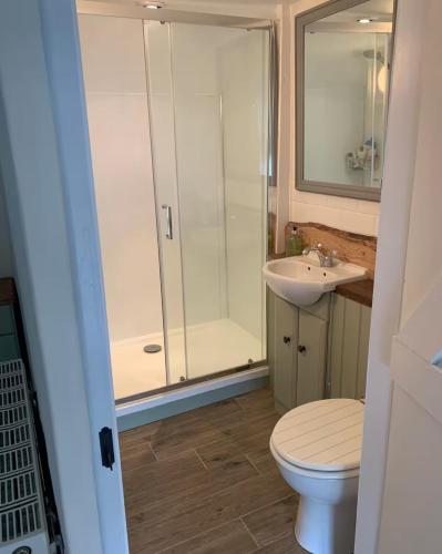 a bathroom with a shower and a toilet and a sink at Corner Lodge in North Tawton