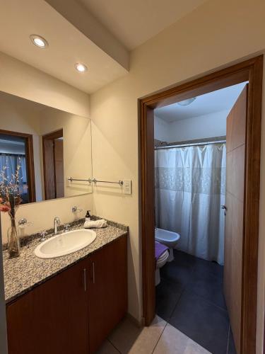 a bathroom with a sink and a toilet at Complejo Pampa 1 in Santa Rosa