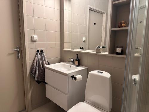 a bathroom with a toilet and a sink and a mirror at Leilighet på Hovden in Bykle