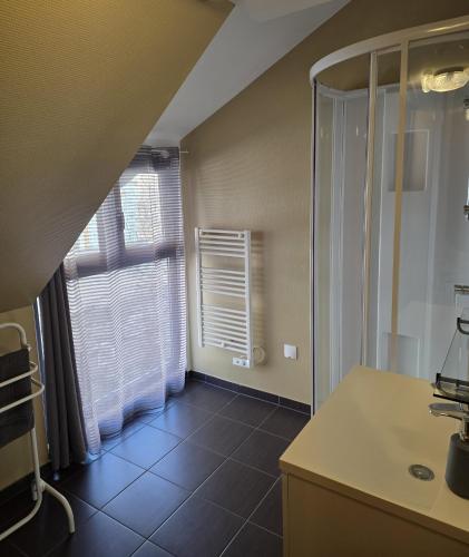 a bathroom with a sink and a window at Grand Gite Angelique avec Jardin - Centre Ribeauvillé in Ribeauvillé