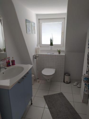 a bathroom with a sink and a toilet and a window at Villa Siegrid in Kremsmünster
