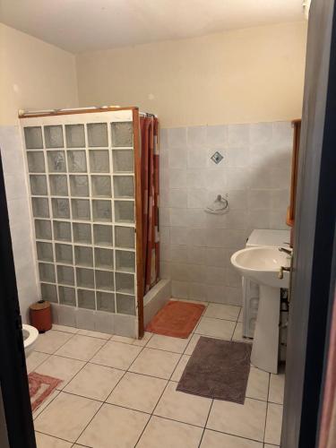 a bathroom with a shower and a sink at Domaine de Locastel 2 in Morne-à-lʼEau