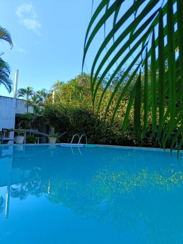 a view of a swimming pool with a palm tree at Okakoaras Hotel in Paulista