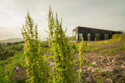 a building on a hill with trees in the foreground at Black Diamond Villa in Mosfellsbær