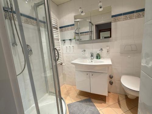 a bathroom with a shower and a sink and a toilet at Ferienwohnung Gipfeltraum in Berchtesgaden