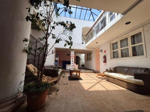 a large living room with couches and a plant at Hotel Dulce Luna in San Cristóbal de Las Casas