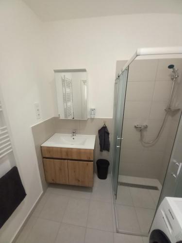 a bathroom with a sink and a shower at Fasor Apartman in Kaposvár