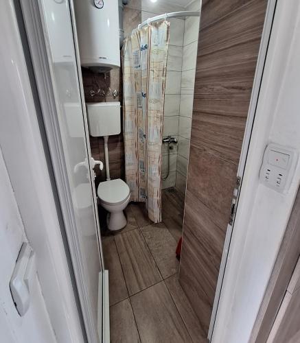 a small bathroom with a toilet and a shower at Apartmani Miladinović in Sutomore