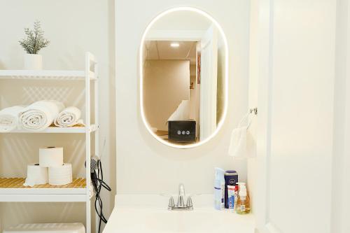 a bathroom with a sink and a mirror at Bright Modern Suite in Bonavista, Private Entrance with Free Parking in Winnipeg