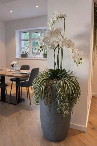 ein großer Pflanzkübel mit weißen Blumen in einem Zimmer in der Unterkunft Hotel Zum Studio in Hamburg