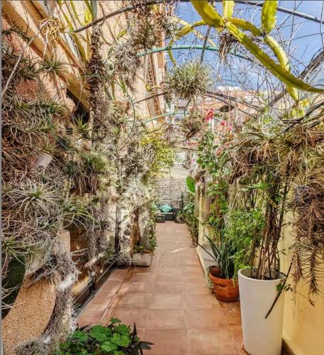 OASIS EPÍFITO URBANO Botanical Wellness Oasis near City of Arts & Sciencies