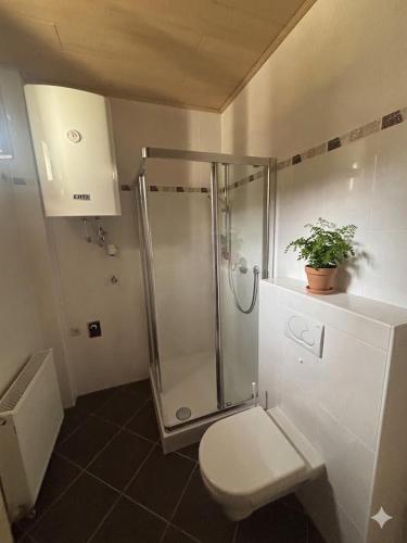 a bathroom with a shower with a toilet and a sink at Stratos Apartments in Laa an der Thaya