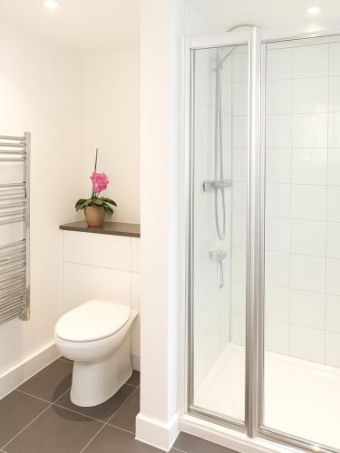 a bathroom with a toilet and a shower at Rural Studio with Shared Pool, Large Gardens & Tennis, Dog Friendly! Chichester Holiday Properties in Chichester