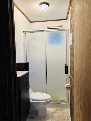 a bathroom with a shower with a toilet and a sink at Cabañas Los Glaciares in Coñaripe