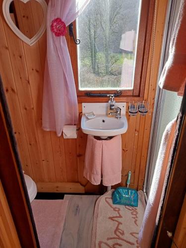 a small bathroom with a sink and a window at 'Morris' the shepherd's hut ,woodland hot tub available, separate fee in Carmarthen