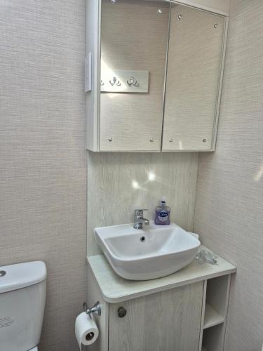 a bathroom with a sink and a toilet at Tower View Retreat, Haven Marton Mere in Blackpool
