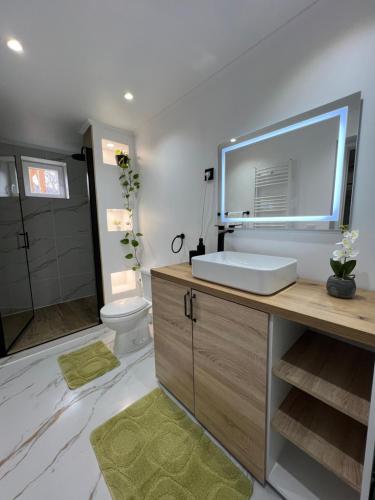 a bathroom with a sink and a toilet at Pensiunea Un colț de Rai in Lunca Jariştei