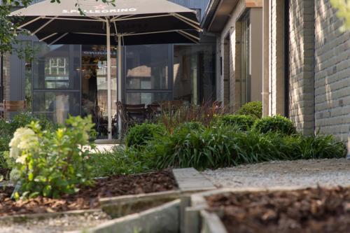 a patio with an umbrella and plants in front of a building at Oud Gemeentehuis in Poelkapelle