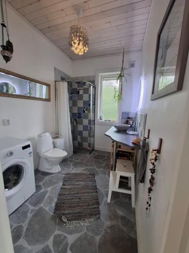 a bathroom with a toilet and a washing machine at Newly-built villa in a perfect location! in Grebbestad