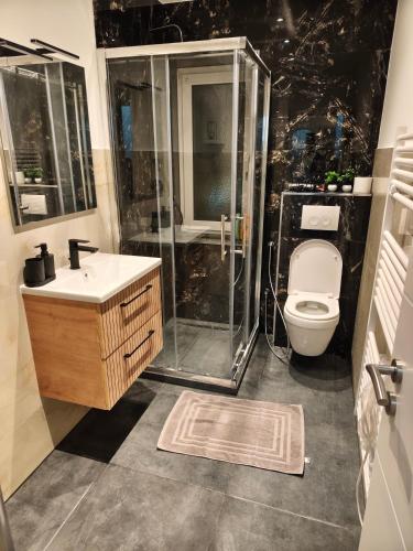 a bathroom with a shower and a sink and a toilet at Schöne Wohnung Prima am Bahnhof Schwerte in Schwerte
