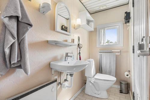 a small bathroom with a toilet and a sink at 1082-Ringkobing-Milevej-11 in Klegod