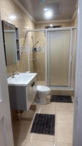 a bathroom with a sink and a shower and a toilet at Peaceful Paraiso in New Amsterdam