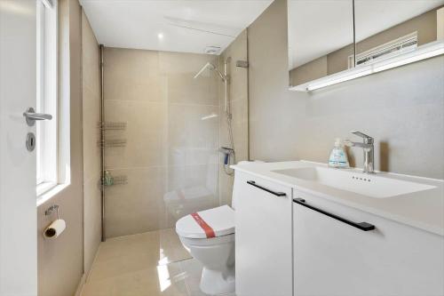 a bathroom with a toilet and a sink and a shower at FY155-Middelfart-Daemningen-99 in Middelfart