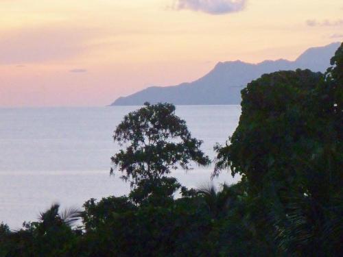 a view of the ocean with a tree in the foreground at La Batie selfcatering Apartment in Beau Vallon