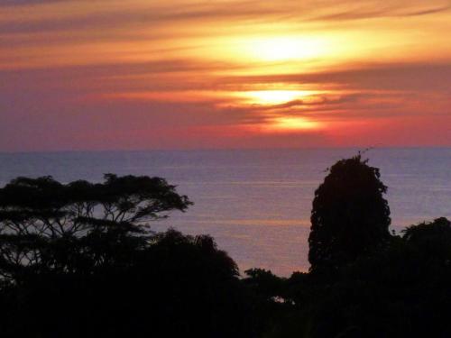 a sunset over the ocean with trees in the foreground at La Batie selfcatering Apartment in Beau Vallon