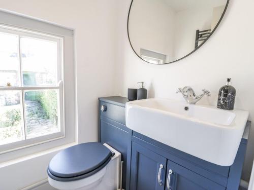 a bathroom with a blue toilet and a sink at Ty Mawr Farm in Llanfairpwllgwyngyll