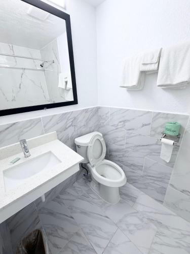a bathroom with a sink and a toilet and a mirror at Economy Inn in Longview