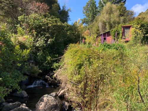 a house on a hill next to a river at Riverside Cabin in Akaroa in Akaroa