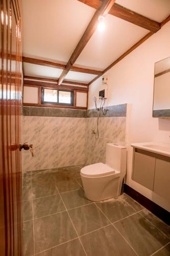 a bathroom with a toilet and a sink at Eco-Villa Camiguin in Mambajao