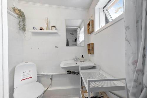 a small bathroom with a sink and a toilet at 8224-Knebel-Capellavej-7 in Knebel