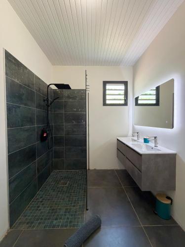 a bathroom with a sink and a shower at La Villa Serenity Pool in Le Lamentin