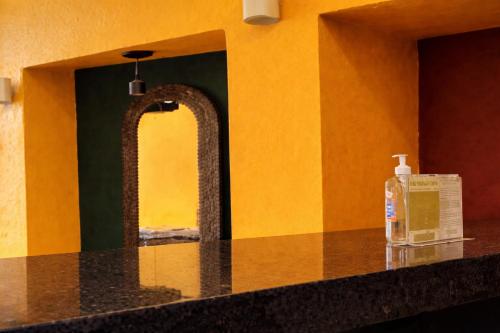 a counter top with a bottle of soap on it at Hotel PREMIER in Linares