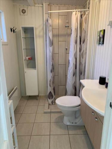 a bathroom with a toilet and a shower and a sink at 30355-Odder-Granvej-14 in Odder