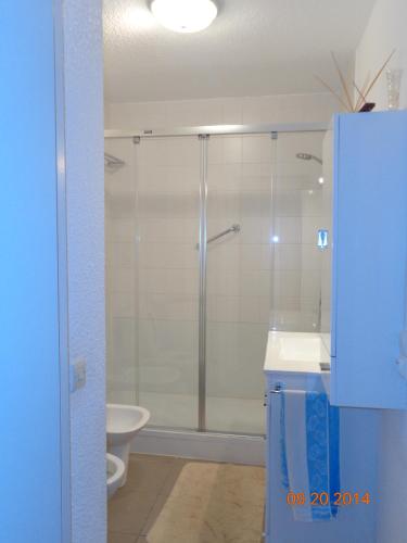 une salle de bain avec une douche avec un lavabo et des toilettes dans l'établissement Duplex en Hendaye, à Hendaye