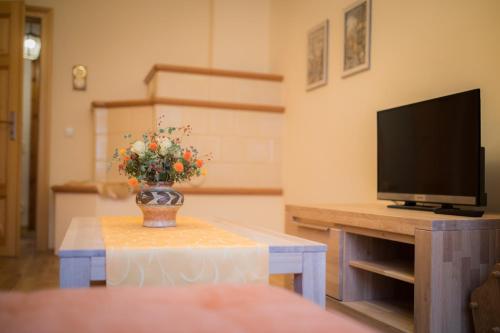 a vase with flowers on a table with a tv at Ferienwohnung "Beim Nachtwächter" in Görlitz