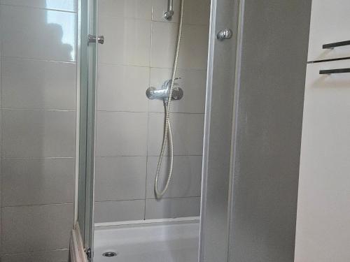 a bathroom with a shower with a glass door at Guest house Ivo in Donji Humac