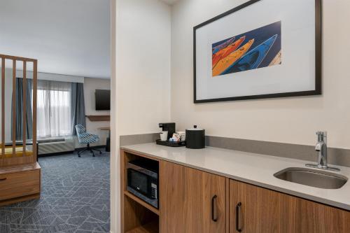 a hotel room with a sink and a mirror at Hampton Inn Detroit/Southgate in Southgate