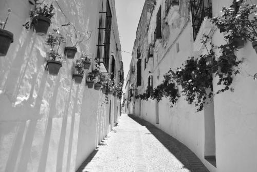 an alley with potted plants on the side of a building at Pensión San Marcos in Arcos de la Frontera