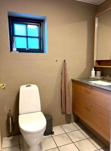 a bathroom with a toilet and a sink and a window at 10735-Ulfborg-Graevlingevej-11 in Ulfborg
