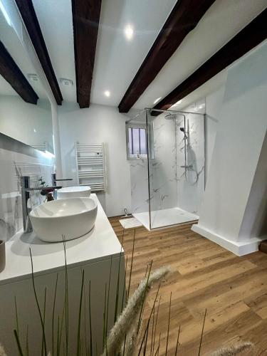 a bathroom with a white sink and a shower at L'Héritage 1779 in Duntzenheim