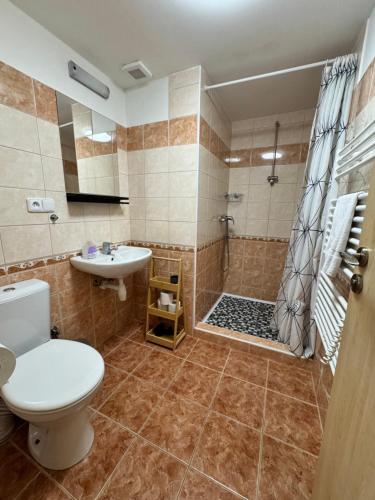 a bathroom with a toilet and a shower and a sink at Chata Boubín in Kubova Huť