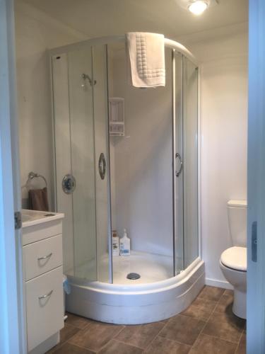 a bathroom with a shower and a toilet at Hampden Heaven in Hampden
